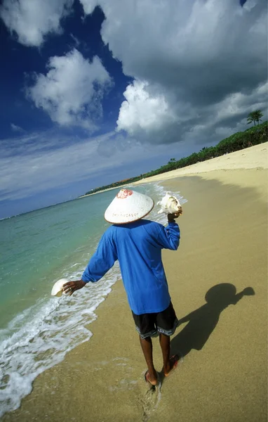 Büyük beyaz kabuk sahilde olan adam — Stok fotoğraf