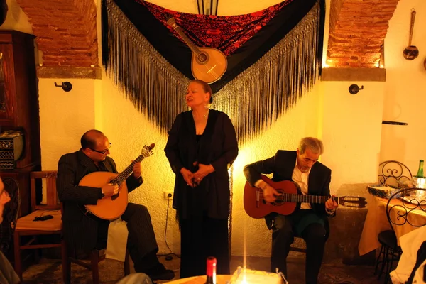 EUROPE PORTUGAL LISBON ALFAMA FADO — Zdjęcie stockowe