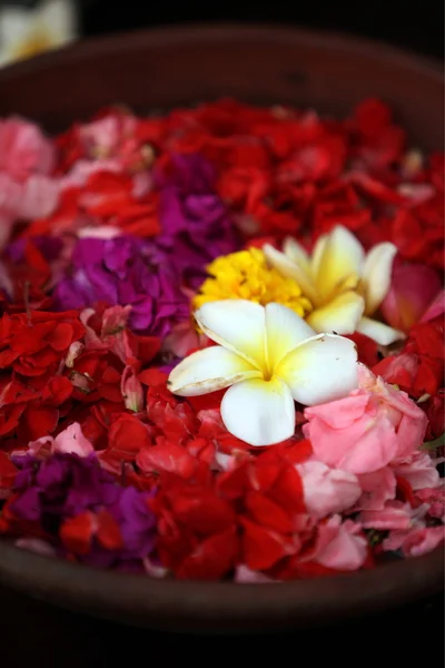 Flowers in a hotel on the island Bali — Stock Photo, Image