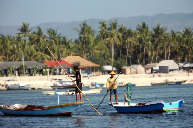 bir deniz yosunu bir çiftlikte çalışan insanlar