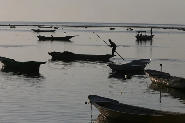 ÁSIA INDONÉSIA BALI NUSA PLANTAÇÃO LEMBONGAN SEAWEAD — Fotografia de Stock