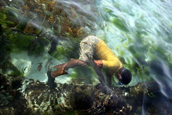 Bir deniz yosunu bir çiftlikte çalışan insanlar — Stok fotoğraf
