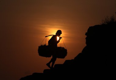 bir deniz yosunu bir çiftlikte çalışan insanlar