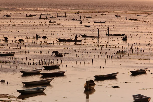 Pessoas no trabalho em uma plantação de algas marinhas — Fotografia de Stock