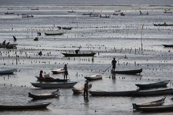 Pessoas no trabalho em uma plantação de algas marinhas — Fotografia de Stock