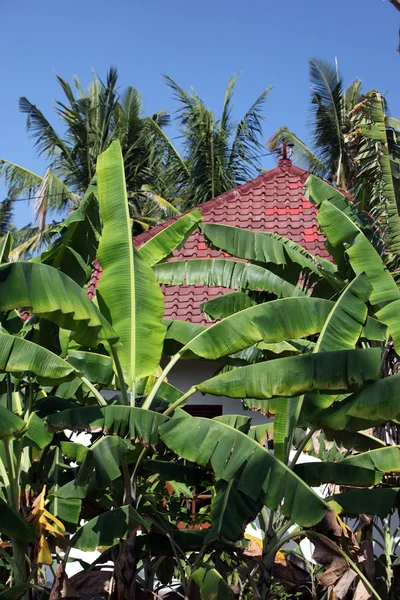 Uma casa com jardim na aldeia — Fotografia de Stock