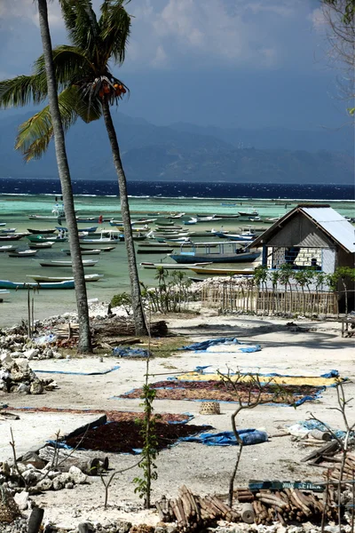 Ada Nusa Lembongan kıyısında — Stok fotoğraf