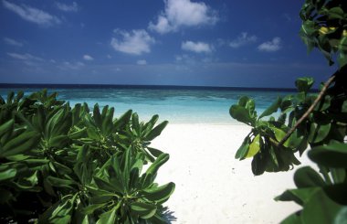 Deniz manzarası ile pitoresk plaja