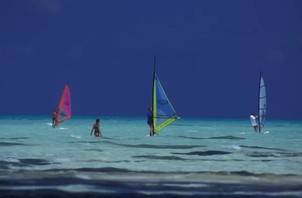 Surfers on a beach with the seascape — Stock Photo, Image