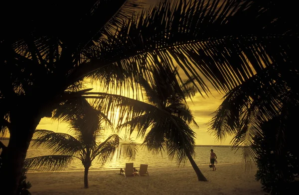 Turist på kvällen beach — Stockfoto