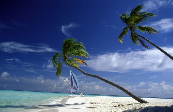 Deniz manzarası ile pitoresk plaja — Stok fotoğraf