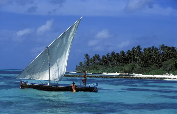 Erkekler dhoni tekne üzerinde — Stok fotoğraf