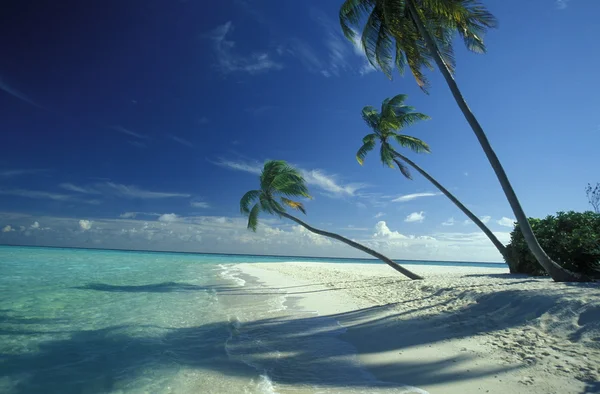 Pittoreska stranden med marinmålning — Stockfoto