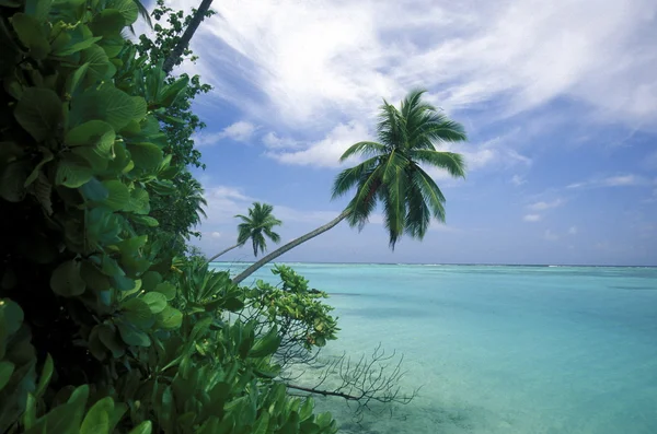 Pittoreske strand met het Zeegezicht — Stockfoto