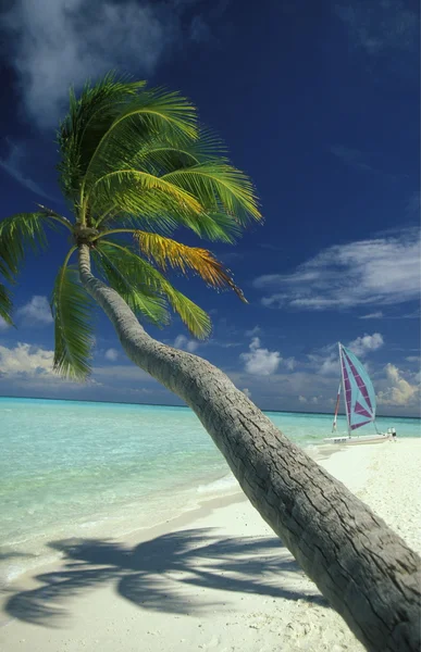 Picturesque beach with the seascape — Stock Photo, Image