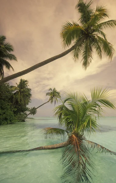 Praia pitoresca com a paisagem marinha — Fotografia de Stock