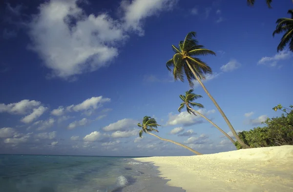 Malebné pláže s přímořská krajina — Stock fotografie