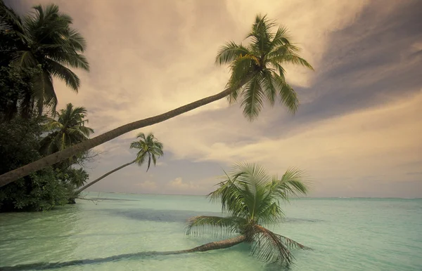 Picturesque beach with the seascape — Stock Photo, Image