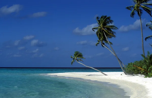 Pittoreska stranden med marinmålning — Stockfoto