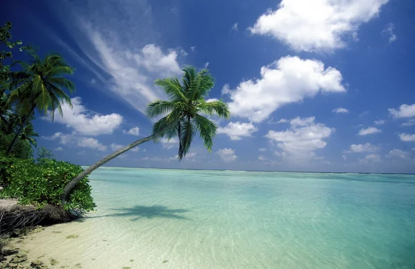 Pittoreska stranden med marinmålning — Stockfoto