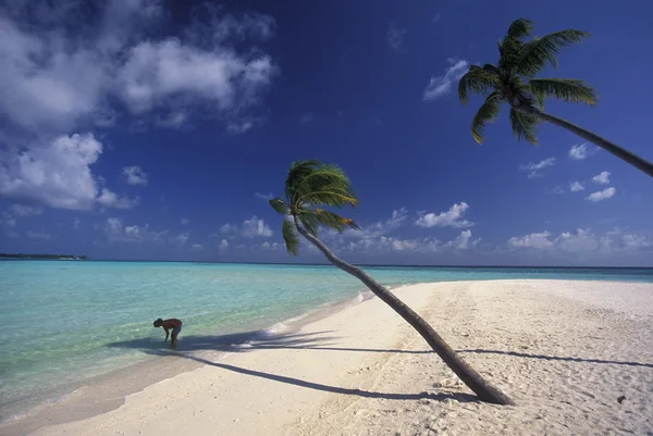 Picturesque beach with the seascape — Stock Photo, Image