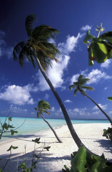 Deniz manzarası ile pitoresk plaja — Stok fotoğraf