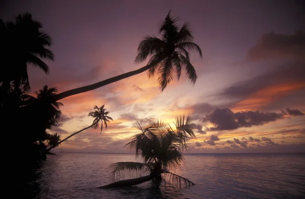 Picturesque beach with the seascape — Stock Photo, Image