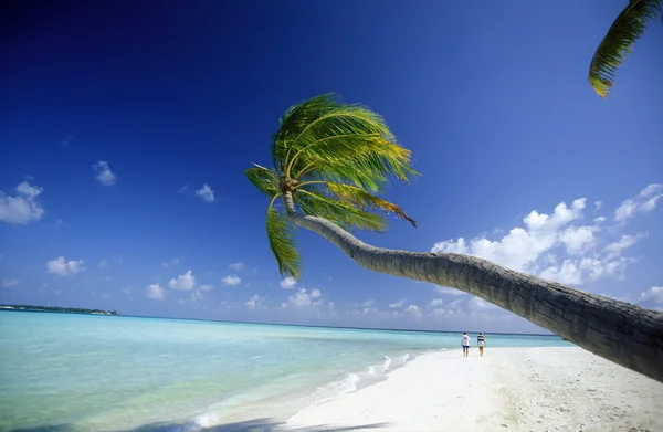 Couple walks on beach — Stock Photo, Image