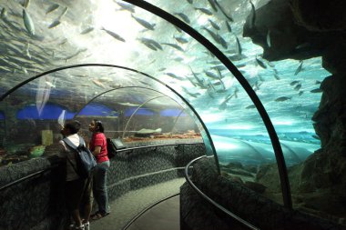 Aquarium Underwater World clipart