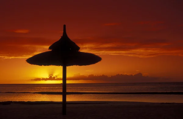 Sunset on the island of Mauritius — Stock Photo, Image
