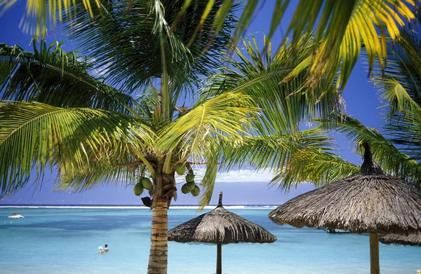 Playa en la isla de Mauricio — Foto de Stock