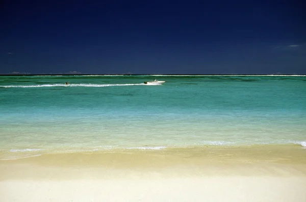 Mauritius adasındaki kumsal — Stok fotoğraf