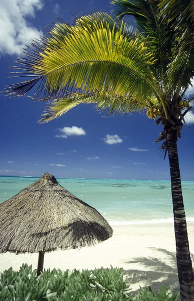 Playa en la isla de Mauricio — Foto de Stock