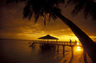 Beach Island Praslin kıyısında