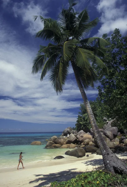 Spiaggia sulla costa dell'isola — Foto Stock