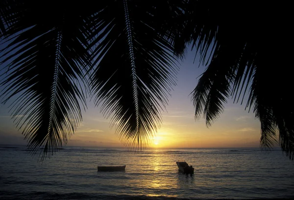 Indiska oceanen Seychellerna Praslin stranden — Stockfoto