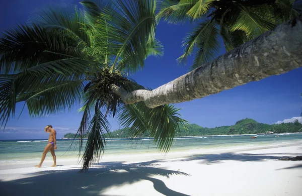 Beach on the coast of the Island Mahe — Stock Photo, Image