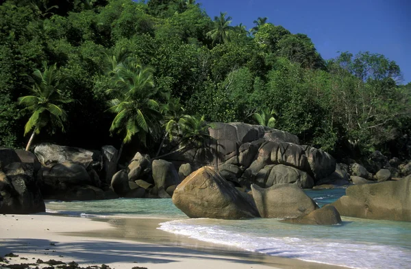 Beach Island La Digue kıyısında — Stok fotoğraf