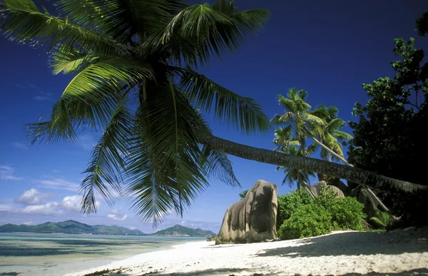 Playa en la costa de la Isla La Digue — Foto de Stock