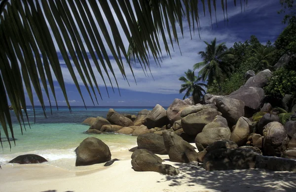 Spiaggia sulla costa dell'isola La Digue — Foto Stock