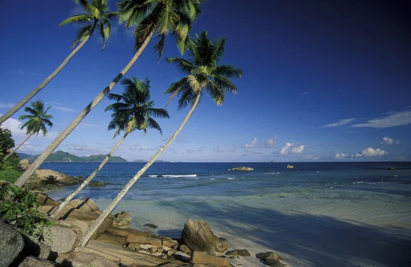 Beach on the coast of the Island Praslin — Stock Photo, Image