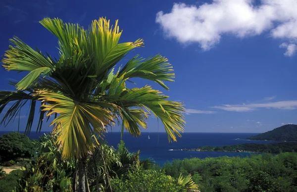 Plage sur la côte de l'île de Mahe — Photo