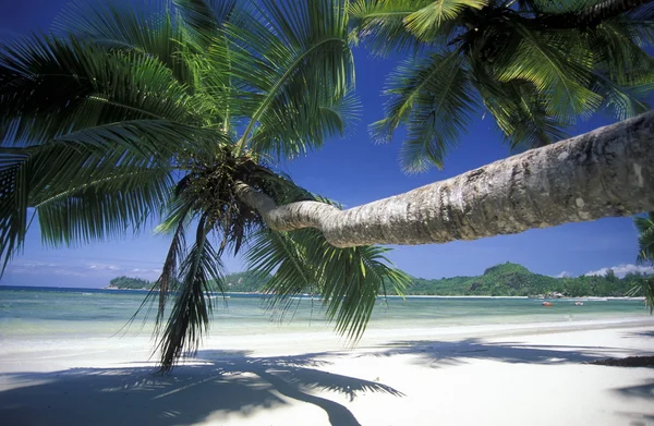 Playa en la costa de la isla Praslin — Foto de Stock
