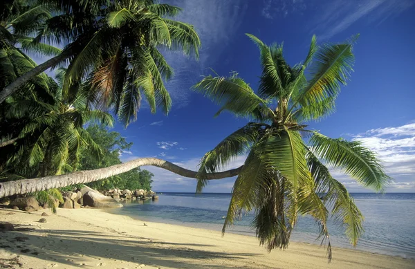 Spiaggia sulla costa dell'isola La Digue — Foto Stock