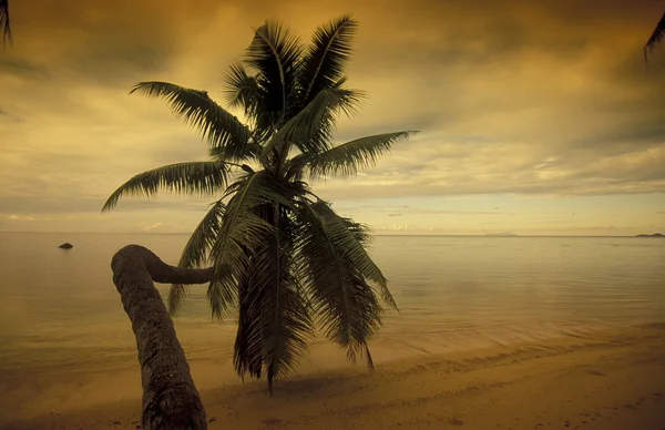 Praia na costa da Ilha Praslin — Fotografia de Stock