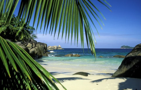 Stranden vid kusten av ön La Digue — Stockfoto