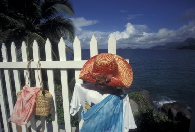 Beach Island Praslin kıyısında