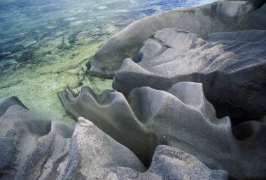 Beach Island La Digue kıyısında