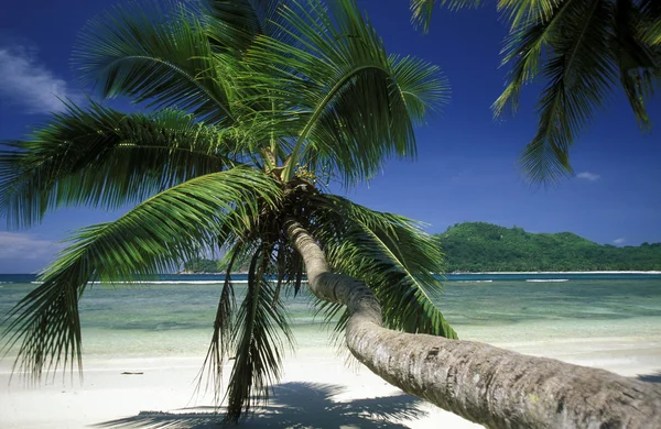 Strand a partján, a sziget-Praslin — Stock Fotó