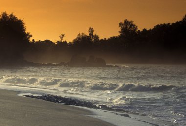 Hint Okyanusu Seyşeller Praslin Beach